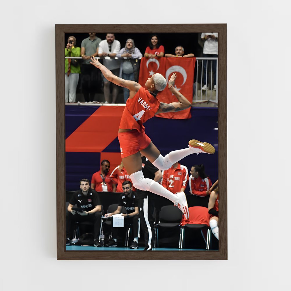 Poster Melissa vargas vivants – affiche Volleyball (vue 5)